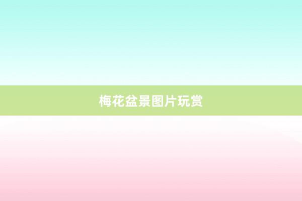 梅花盆景图片玩赏